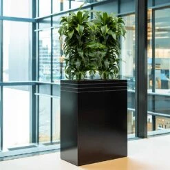 Line-Up Rectangle Planter - Matt Black -Plants Sale Store Line Up Rectangle Planter Matt Black Office Planter