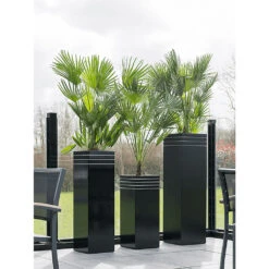 Line-Up Tall Square Planter - Matt Black 10 Line-Up Tall Square Planter - Matt Black -Plants Sale Store Line Up Tall Square Planter Matt Black Lifestyle