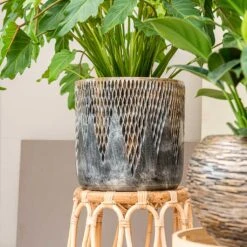 Luxe Lite Comet Cylinder Planter - Bronze -Plants Sale Store Luxe Lite Comet Cylinder Planter Bronze Small Houseplant