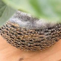 Luxe Lite Layer Globe Planter - Bronze -Plants Sale Store Luxe Lite Layer Globe Planter 1