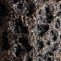 Luxe Lite Moon Partner Planter - Bronze -Plants Sale Store Luxe Lite Moon Partner Planter Bronze 33x70cm 5