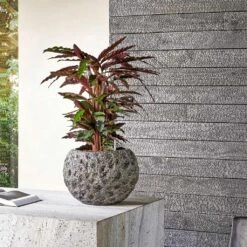 Luxe Lite Moon Globe Planter - Bronze -Plants Sale Store Luxe Lite Universe Moon Globe Bronze