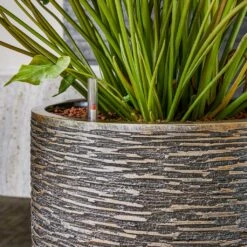 Luxe Lite Wrinkle Cylinder Planter - Bronze 17 Luxe Lite Wrinkle Cylinder Planter - Bronze -Plants Sale Store Luxe Lite Universe Wrinkle Cylinder Bronze 3