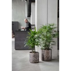 Luxe Lite Wrinkle Cylinder Planter - Bronze 19 Luxe Lite Wrinkle Cylinder Planter - Bronze -Plants Sale Store Luxe Lite Wrinkle Cylinder Planter Bronze Lifestyle