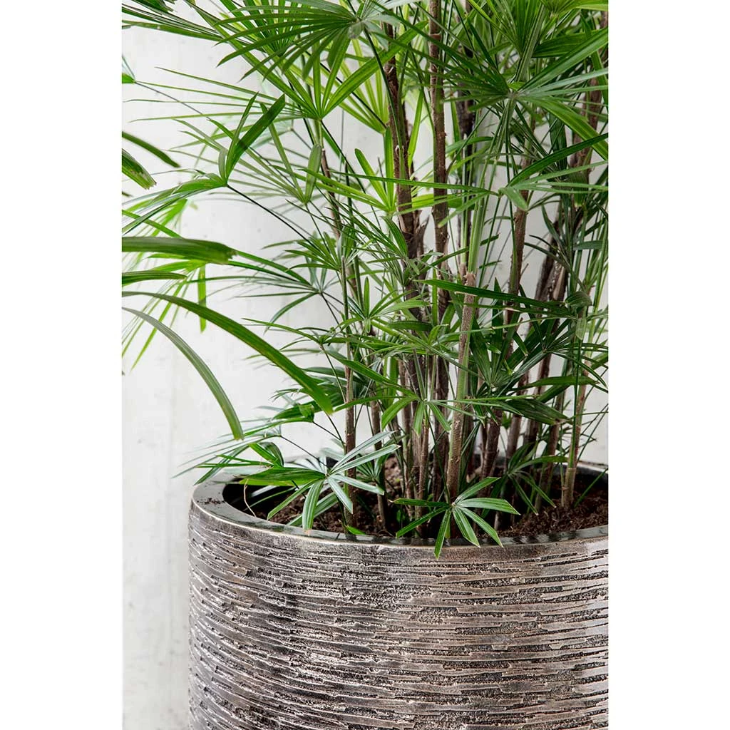 Luxe Lite Wrinkle Cylinder Planter - Bronze 9 Luxe Lite Wrinkle Cylinder Planter - Bronze - Image 7