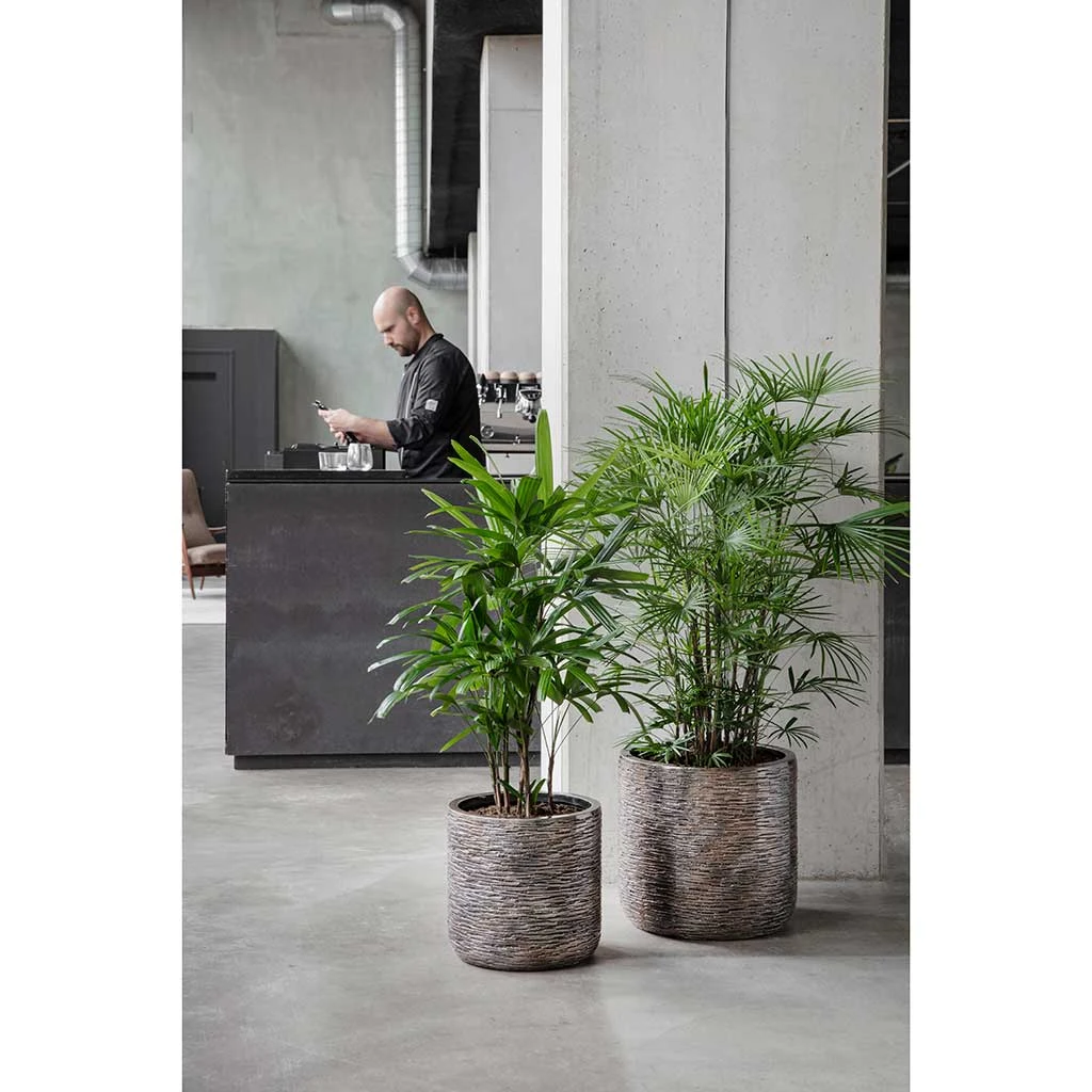 Luxe Lite Wrinkle Cylinder Planter - Bronze 6 Luxe Lite Wrinkle Cylinder Planter - Bronze - Image 4