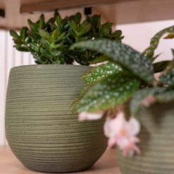 Lydia Plant Pot - Shiny Green -Plants Sale Store LydiaPlantPot ShinyGreen 3