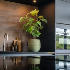 Lydia Plant Pot - Shiny Green -Plants Sale Store LydiaPlantPot ShinyGreen 7