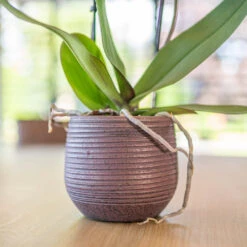 Lydia Plant Pot - Shiny Purple -Plants Sale Store LydiaPlantPotShiny Purple 1