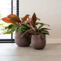 Lydia Plant Pot - Shiny Purple -Plants Sale Store LydiaPlantPotShiny Purple 4