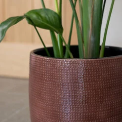 Lykke Plant Pot - Chestnut Blush 15 Lykke Plant Pot - Chestnut Blush -Plants Sale Store Lykke Chestnut 2