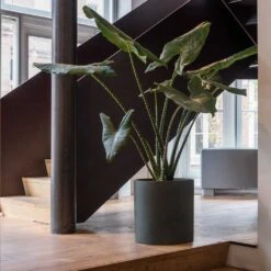 Max Refined Planter - Pine Green -Plants Sale Store Max Refined Planter Pine Green 1