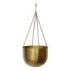 Mayfair Hanging Plant Pot - Antique Brass -Plants Sale Store Mayfair Hanging Plant Pot Antique Brass 30 x 21cm