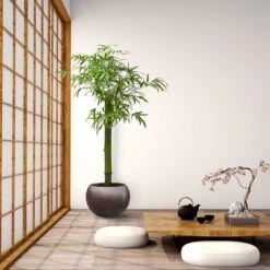 Metallic Globe Plant Pot - Matt Coffee -Plants Sale Store Metallic Couple Plant Pot Matt Coffee LS1