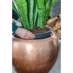 Metallic Couple Plant Pot - Matt Copper -Plants Sale Store Metallic Couple Plant Pot Matt Copper Sansevieria Lifestyle Close