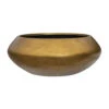 Metallic UFO Plant Bowl - Matt Honey -Plants Sale Store Metallic UFO Plant Bowl Matt Honey 40x15cm