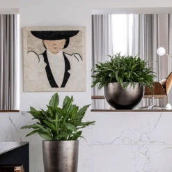 Metallic Plant Bowl - Matt Coffee -Plants Sale Store MetallicPlantBowl MattCoffee 45x27cmPlantPotSizeCheck HortologyMetallicPlantBowl MattCoffee 1