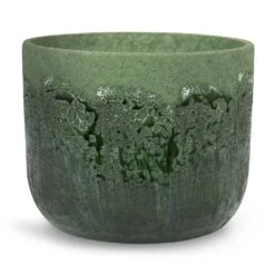 Moon Plant Pot - Jungle -Plants Sale Store Moon Plant Pot Jungle 19x16cm