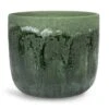 Moon Plant Pot - Jungle -Plants Sale Store Moon Plant Pot Jungle 23x20cm
