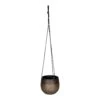 Mya Hanging Planter - Deep Champagne -Plants Sale Store Mya Hanging Planter Deep Champagne