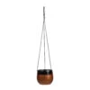 Mya Hanging Planter - Shiny Mocha 2 Mya Hanging Planter - Shiny Mocha -Plants Sale Store Mya Hanging Planter Shiny Mocha 18x16cm 2