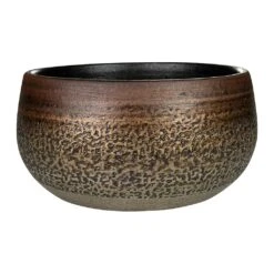 Mya Plant Bowl - Deep Champagne -Plants Sale Store Mya Plant Bowl Deep Champagne Medium