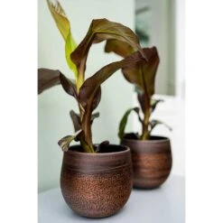Mya Plant Pot - Shiny Mocha 28 Mya Plant Pot - Shiny Mocha -Plants Sale Store Mya Plant Pot Shiny Mocha Houseplants