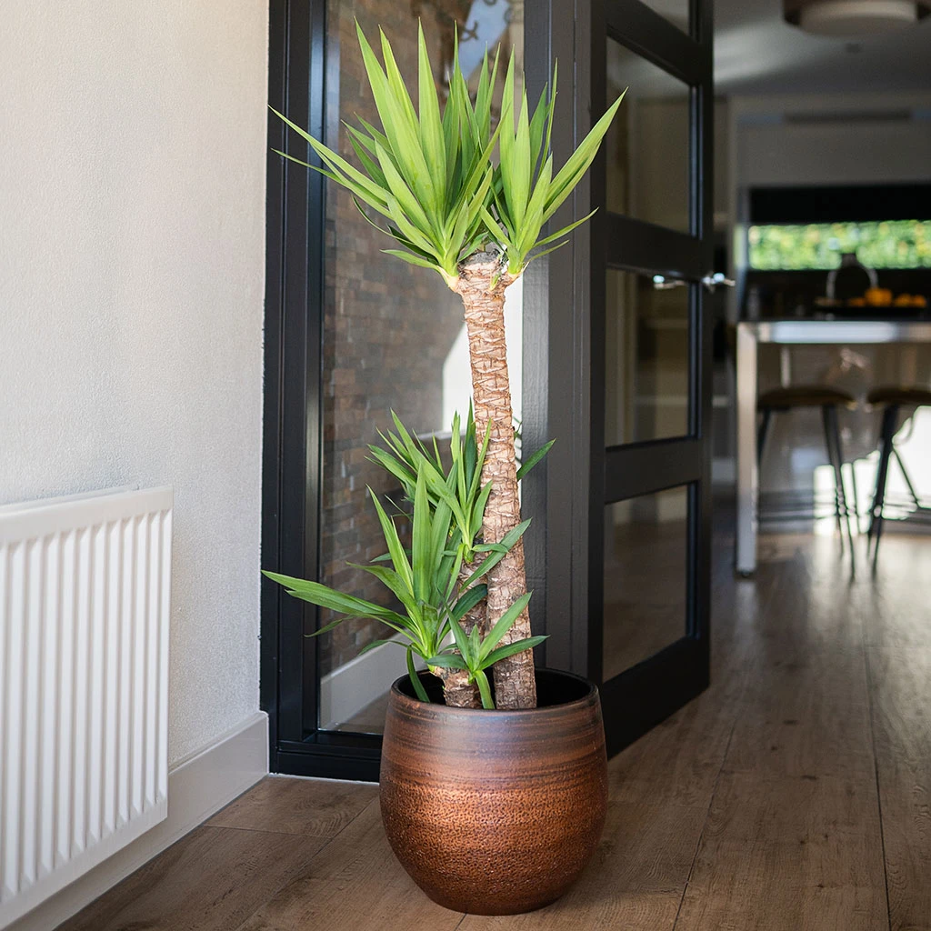 Mya Plant Pot - Shiny Mocha 4 Mya Plant Pot - Shiny Mocha - Image 2