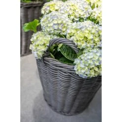 Nanna Wikr Plant Basket - Dark Brown -Plants Sale Store Nanna Wicker Plant Basket Dark Brown Outdoor Plants