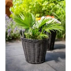 Nanna Wikr Plant Basket - Dark Brown -Plants Sale Store Nanna Wicker Plant Basket Dark Brown Palm Tree