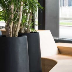 Nax Natural Tall Planter - Black -Plants Sale Store Nax Natural Planter Black Office Planters Close Up