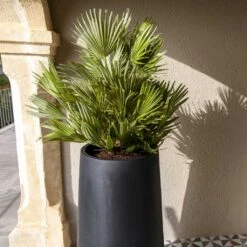 Nax Natural Tall Planter - Black -Plants Sale Store Nax Natural Tall Planter Black 1