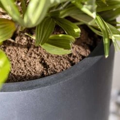 Nax Natural Tall Planter - Black -Plants Sale Store Nax Natural Tall Planter Black 2