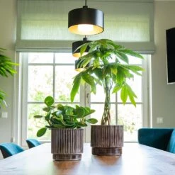 Nella Plant Pot - Coffee -Plants Sale Store Nella Coffee 2