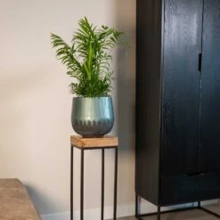 Ninthe Metal Plant Pot - Metallic Petrol -Plants Sale Store Ninthe metallic green 01