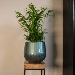 Ninthe Metal Plant Pot - Metallic Petrol -Plants Sale Store Ninthe metallic green 02