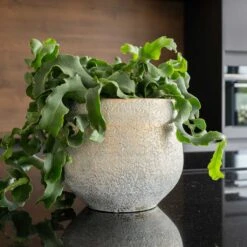 Noor Plant Pot - Metallic Grey -Plants Sale Store Noor Plant Pot Metallic Grey 1