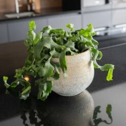 Noor Plant Pot - Metallic Grey -Plants Sale Store Noor Plant Pot Metallic Grey 2