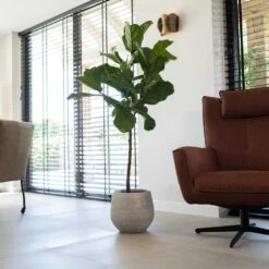 Noor Plant Pot - Metallic Grey -Plants Sale Store Noor Plant Pot Metallic Grey 4