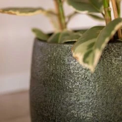 Noor Plant Pot - Velvet Green -Plants Sale Store Noor Plant Pot Velvet Green 3
