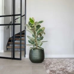 Noor Plant Pot - Velvet Green -Plants Sale Store Noor Plant Pot Velvet Green 4