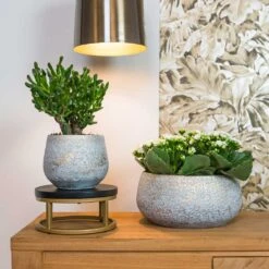 Noor Plant Bowl - Metallic Grey -Plants Sale Store Noor metalic grey 01