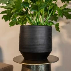 Norell Plant Pot - Black -Plants Sale Store Norell black 03