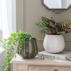 Nova Plant Pot - Green -Plants Sale Store Nova Plant Pot Cream 23 x 18cm 11781764 6d1a 4491 88d6 b6d75afe7217