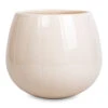 Nova Plant Pot - Cream 1 Nova Plant Pot - Cream -Plants Sale Store Nova Plant Pot Cream 23x18cm