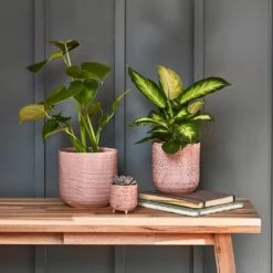 Ocean Glaze Plant Pot - Morganite -Plants Sale Store Ocean Glaze Plant Pot Morganite 13 x 13cm