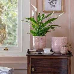 Ocean Glaze Plant Pot - Morganite -Plants Sale Store Ocean Glaze Plant Pot Morganite 16 x 16cm