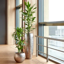 Opus Hammered Globe Planter - Silver -Plants Sale Store Opus Hammered Globe Silver Opus Hammered Partner Silver