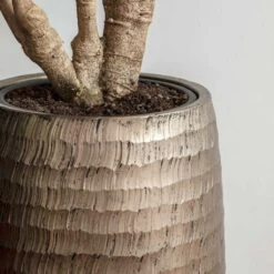 Opus Hammered Partner Planter - Gold 10 Opus Hammered Partner Planter - Gold -Plants Sale Store Opus Hammered Partner Planter Gold 1