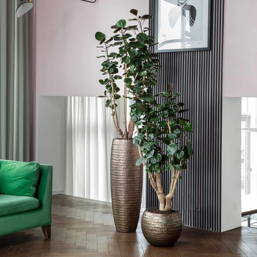 Opus Hammered Partner Planter - Gold 4 Opus Hammered Partner Planter - Gold - Image 2